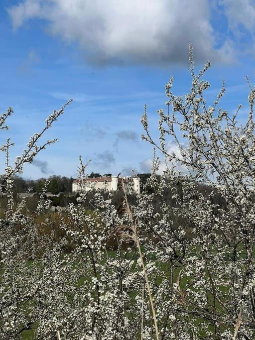Maison Ray Sur Saone Ray-sur-Saone Екстериор снимка